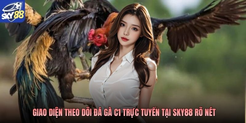 Giao diện theo dõi đá gà C1 trực tuyến tại SKY88 rõ nét