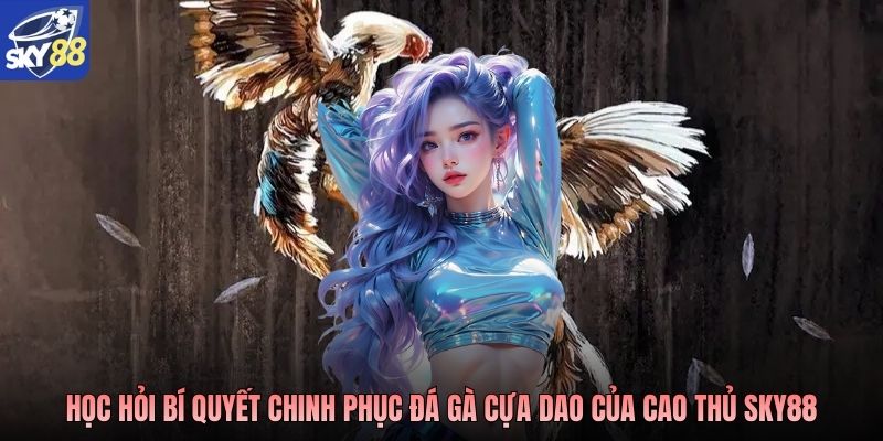 Học hỏi bí quyết chinh phục đá gà cựa dao của cao thủ Sky88