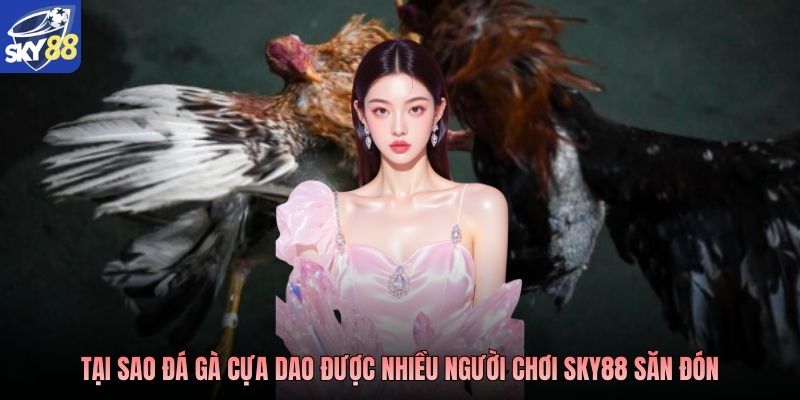 Tại sao đá gà cựa dao được nhiều người chơi Sky88 săn đón